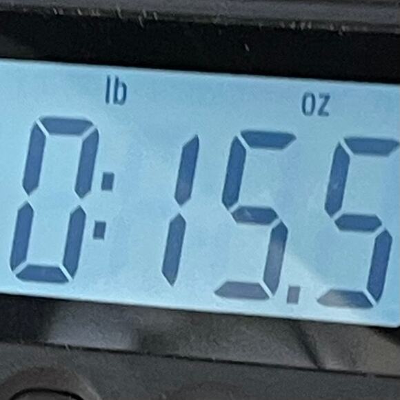 Weatherproof Men's Button-Down Shirt Short Sleeve Size Medium - Picture 9 of 10